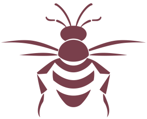 bumblebee_logo_white (1)_edited